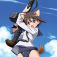 強襲魔女(STRIKE WITCHES) 強襲魔女(STRIKE WITCHES)