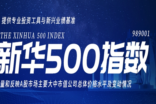 新華500指數 新華500指數