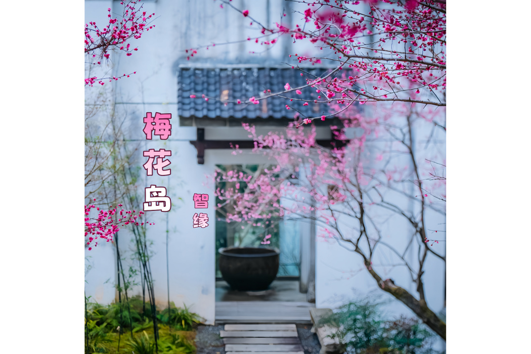 梅花島 梅花島