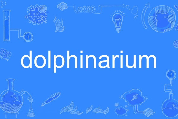 dolphinarium dolphinarium
