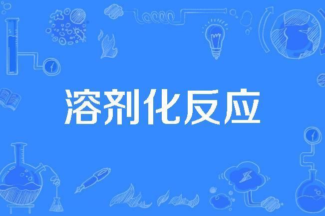 溶劑化反應 溶劑化反應