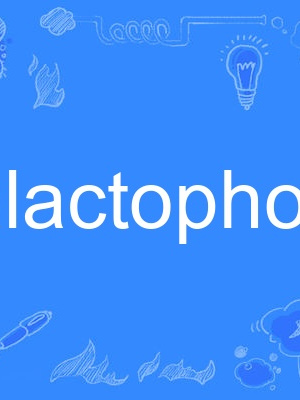 galactophore galactophore