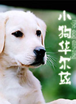 風間徹