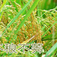 不稂不莠 不稂不莠
