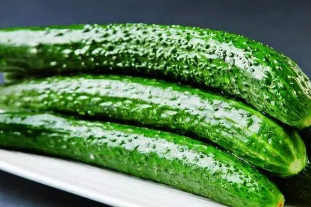 龍綠1號 龍綠1號