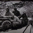 施耐德M1906式65毫米山炮