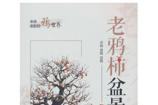 老鴉柿盆景 老鴉柿盆景