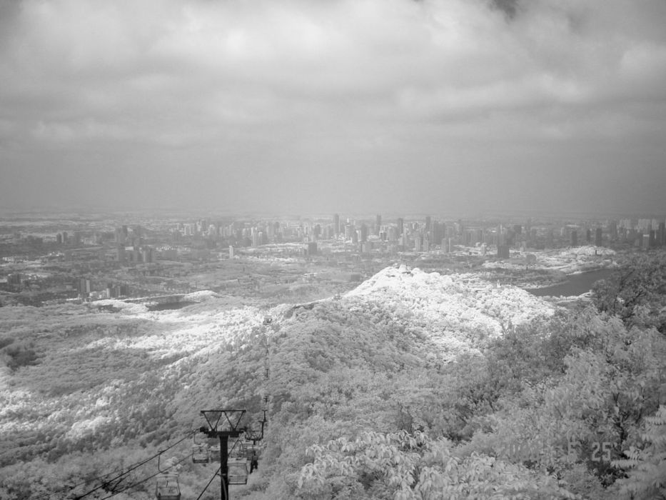 雪原城 雪原城