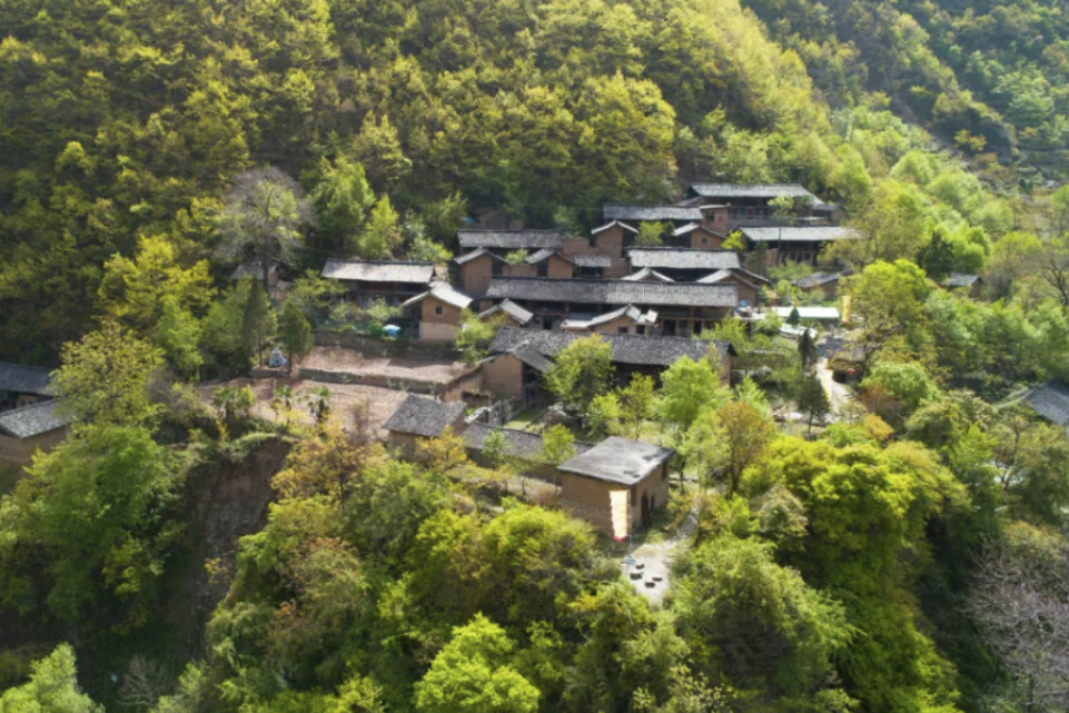 張壩村(甘肅省隴南市武都區琵琶鎮下轄村) 張壩村(甘肅省隴南市武都區琵琶鎮下轄村)