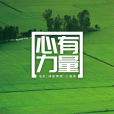 心有力量 心有力量