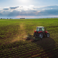 農業(agriculture)