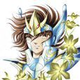 星矢(Seiya)