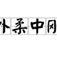外柔中剛 外柔中剛