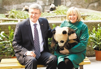 哈珀與夫人在重慶動物園與大熊貓合影