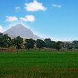 木葉山 木葉山