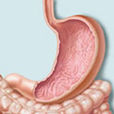 胃十二指腸潰瘍