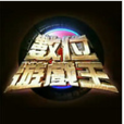數位遊戲王 數位遊戲王