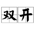 雙開(政治領域)