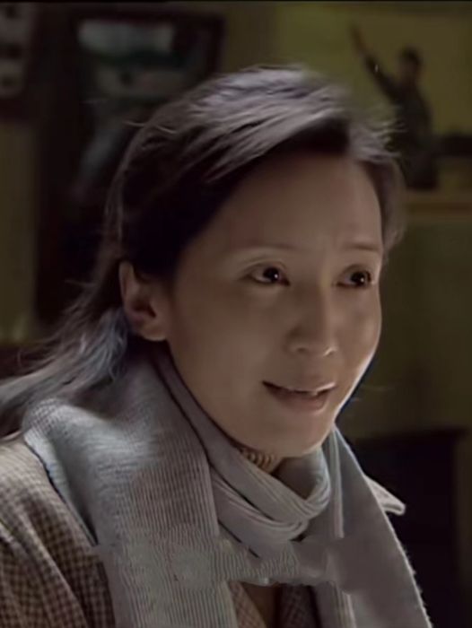王紅霞(家庭倫理劇《繼父》中的角色) 王紅霞(家庭倫理劇《繼父》中的角色)
