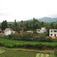 花坡村(雲南昆明市廠口鄉下轄村)