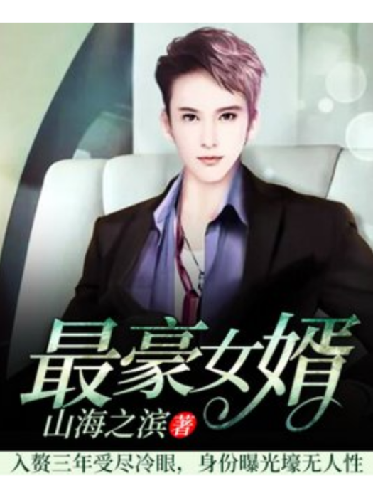 最豪女婿(山海之濱所著小說) 最豪女婿(山海之濱所著小說)