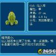 仙人球(《賽爾號》精靈) 仙人球(《賽爾號》精靈)