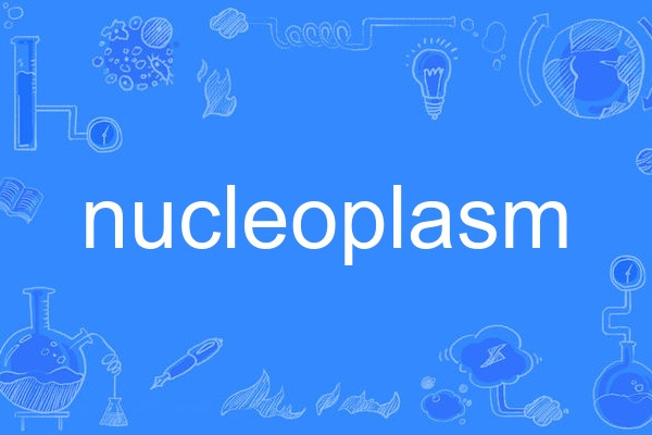 nucleoplasm nucleoplasm