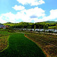 南陳村(溫州市永嘉縣南陳村) 南陳村(溫州市永嘉縣南陳村)