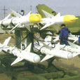 PL-9C飛彈 PL-9C飛彈
