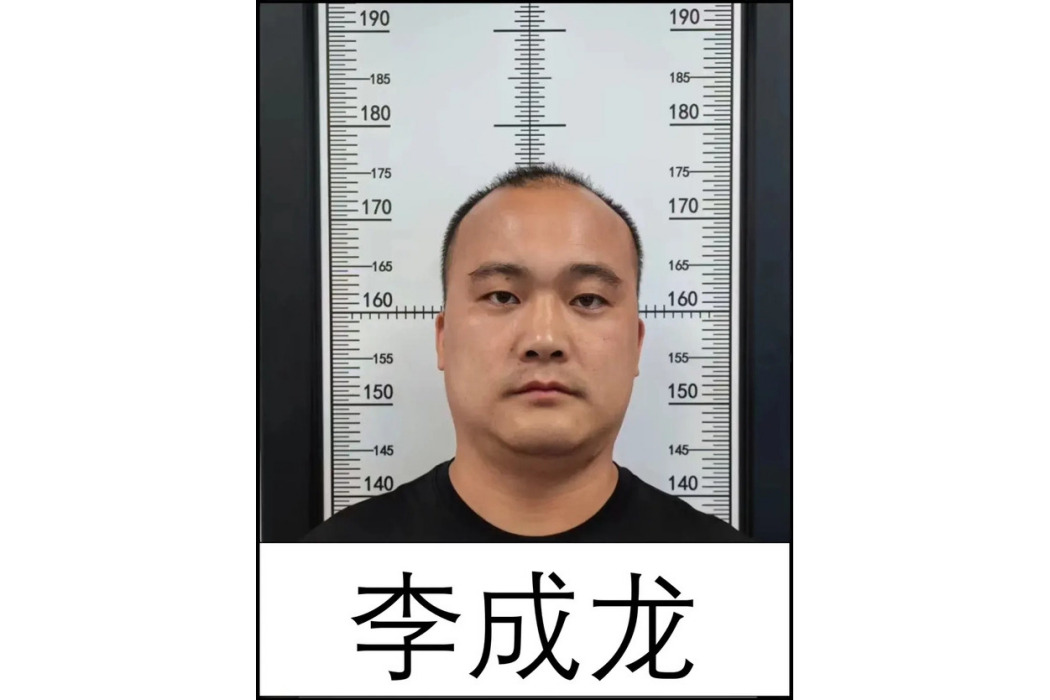 李成龍(犯罪嫌疑人) 李成龍(犯罪嫌疑人)