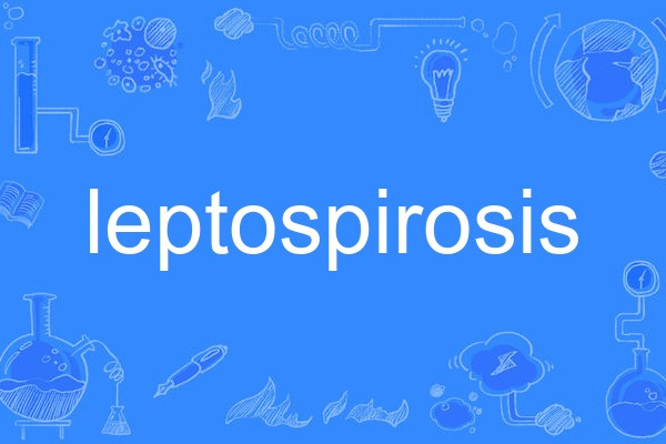 leptospirosis leptospirosis