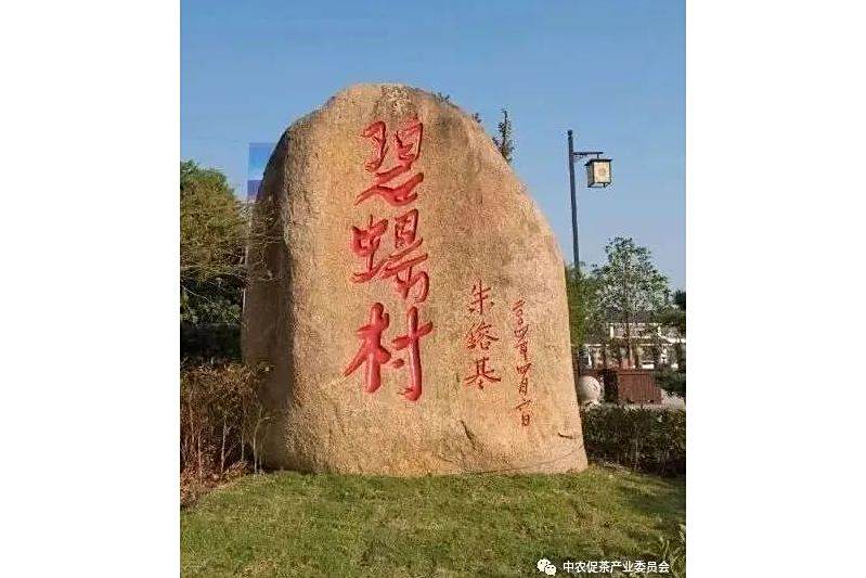 碧螺村