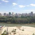 阿克蘇地區(阿克蘇（新疆維吾爾族自治區下轄地區）)