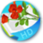 hd剩男寶典