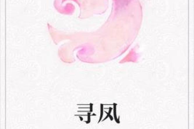 尋鳳(王小猜創作的古代言情小說)