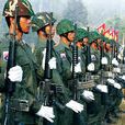 緬甸少數民族地方武裝