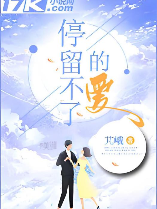 停留不了的愛 停留不了的愛