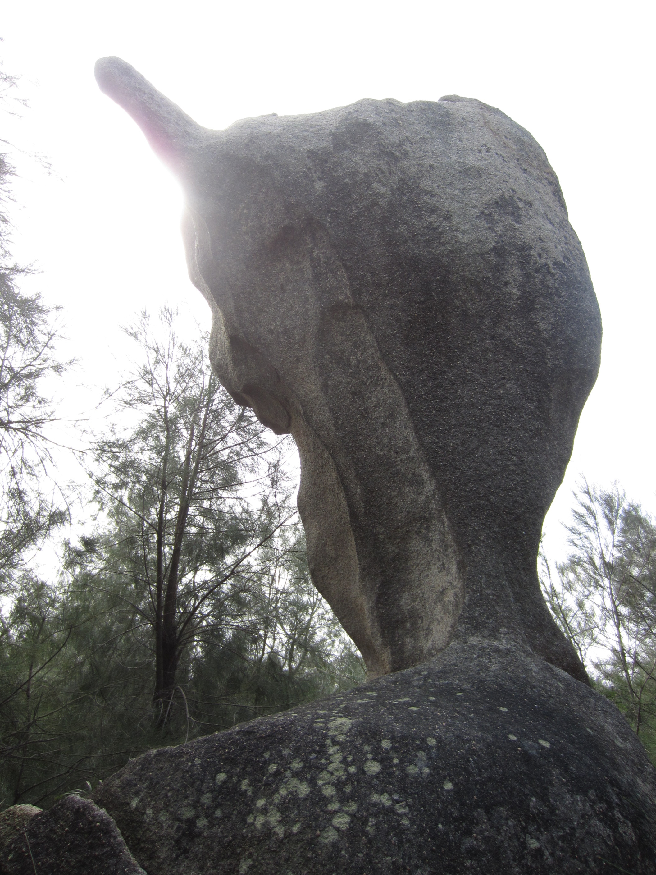 平潭鵝頭象形石