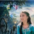蜻蜓(中國影視童星演員趙姝婷的冬粉統稱) 蜻蜓(中國影視童星演員趙姝婷的冬粉統稱)