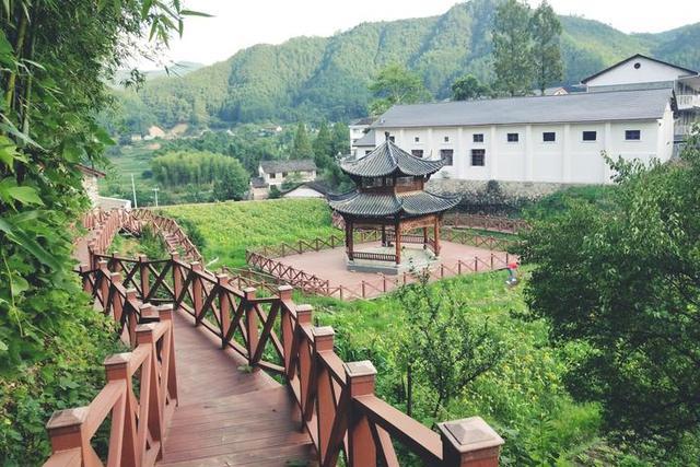 大白岸村 大白岸村