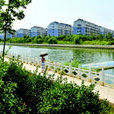 仙河鎮