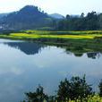 朝陽湖