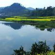 朝陽湖 朝陽湖