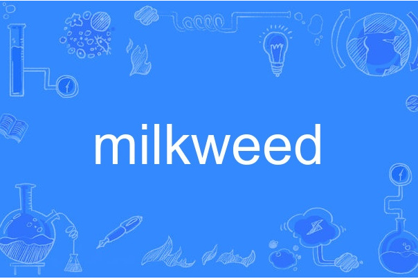 milkweed
