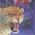 Rare and Endangered Rare and Endangered