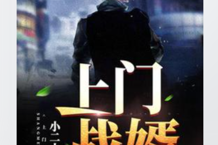 上門戰婿(小二十三所著小說)