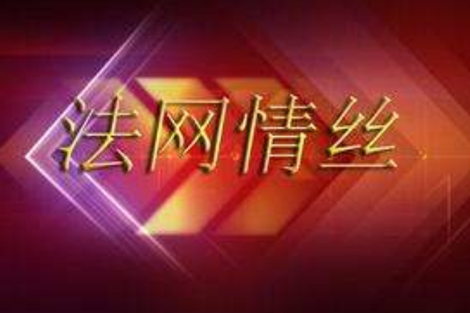 法網情絲(檀客創作的網路小說)