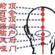 腦戶穴 腦戶穴