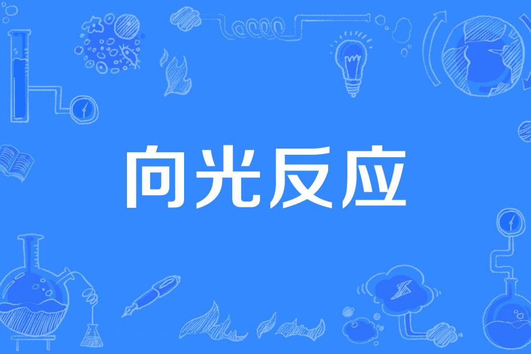 向光反應 向光反應