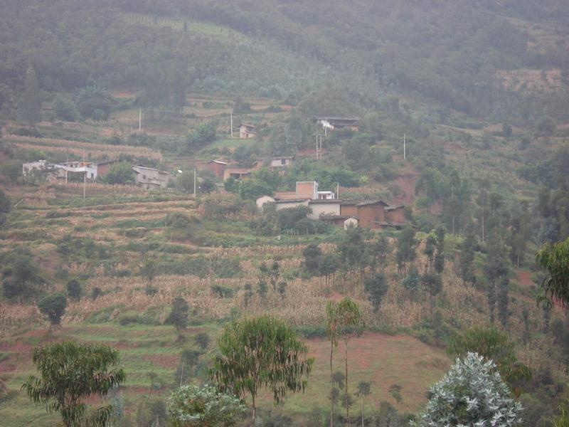 撒樹依村 撒樹依村